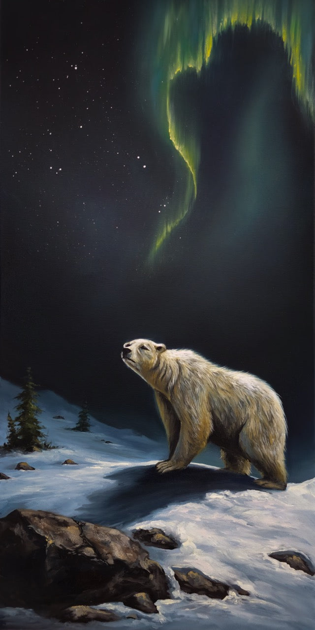 12x24 Original Canvas Painting: Nanook