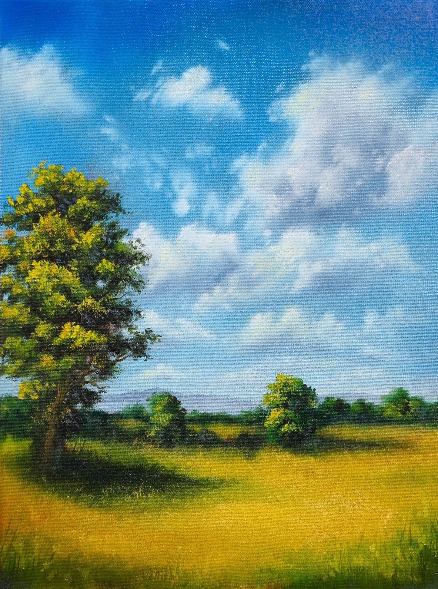 12x16 Original Canvas Painting: Peaceful Plains